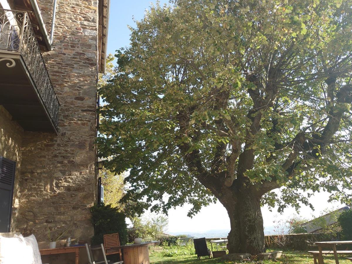 Chateau De Riverie Chambres Et Table D'Hotes Екстер'єр фото