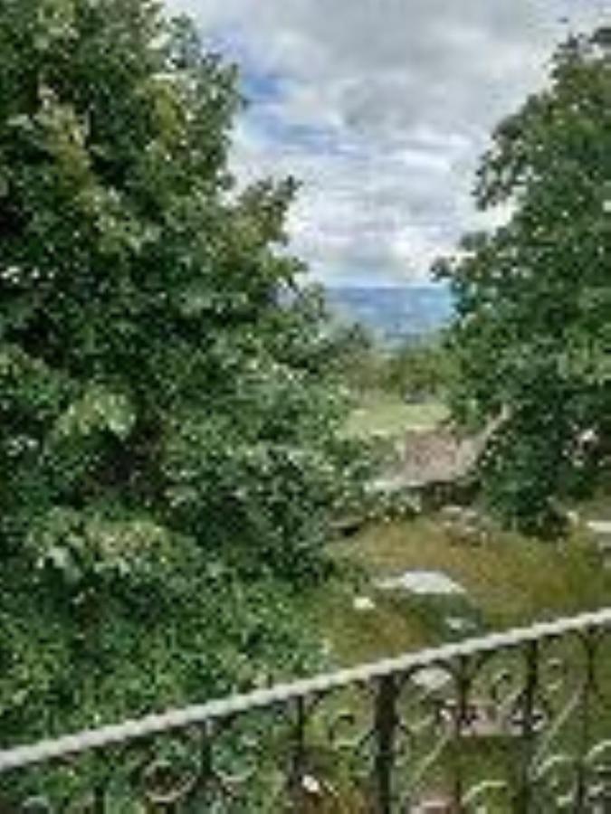 Chateau De Riverie Chambres Et Table D'Hotes Екстер'єр фото