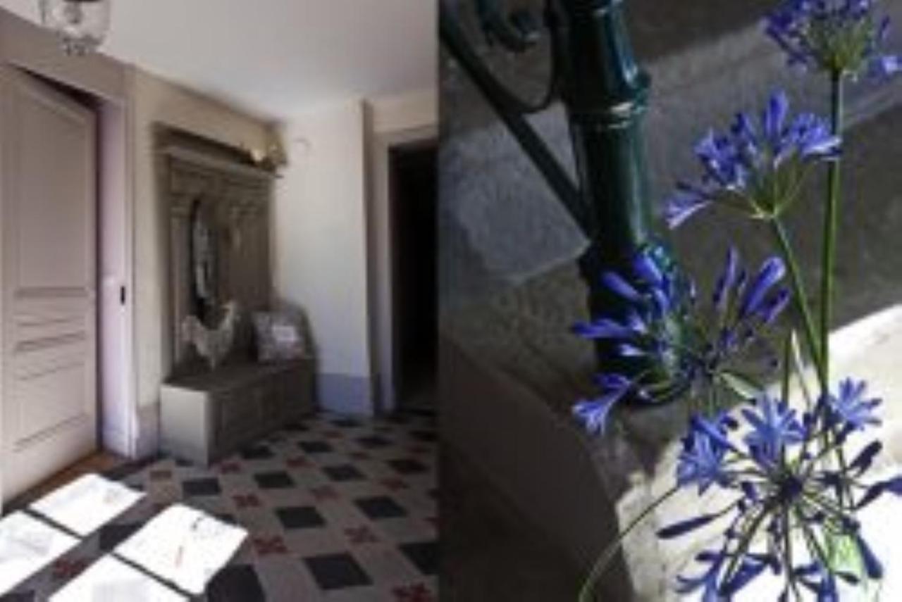 Chateau De Riverie Chambres Et Table D'Hotes Екстер'єр фото