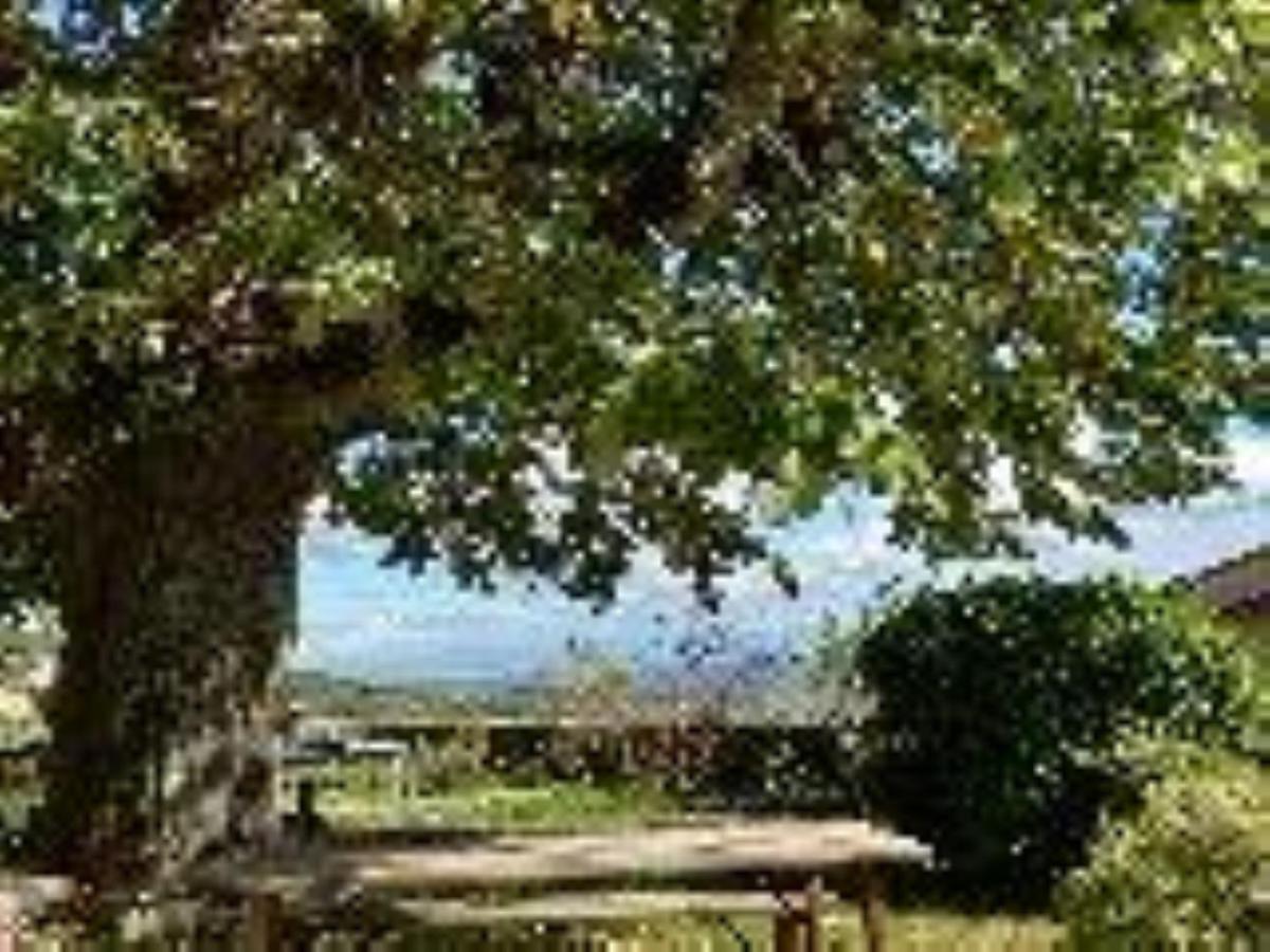 Chateau De Riverie Chambres Et Table D'Hotes Екстер'єр фото